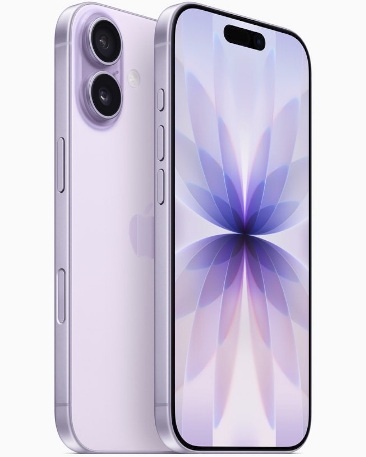 iPhone 17 display