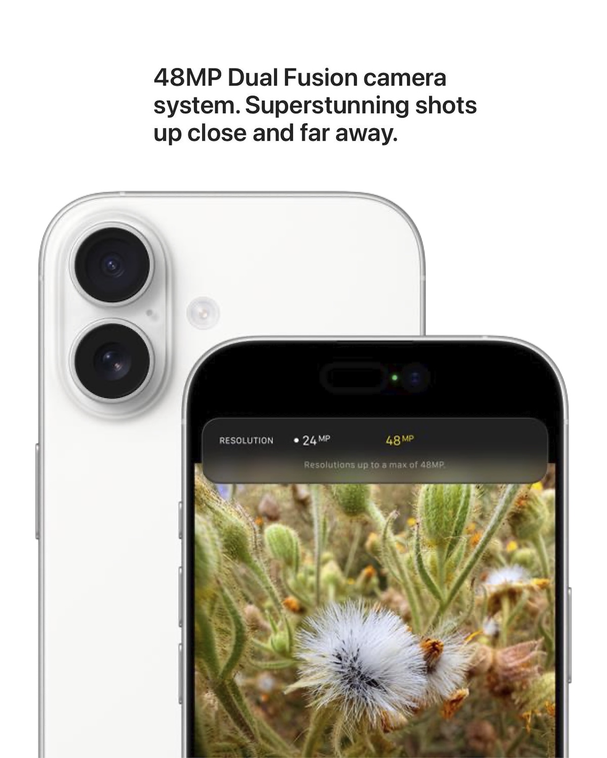iPhone 17 rear camera